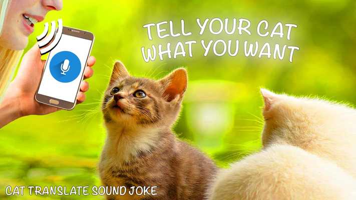 Emulate Android APK Cat Translate Sound Emulate Android APK Cat Translate Sound