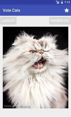 Emulate Android APK Caturday