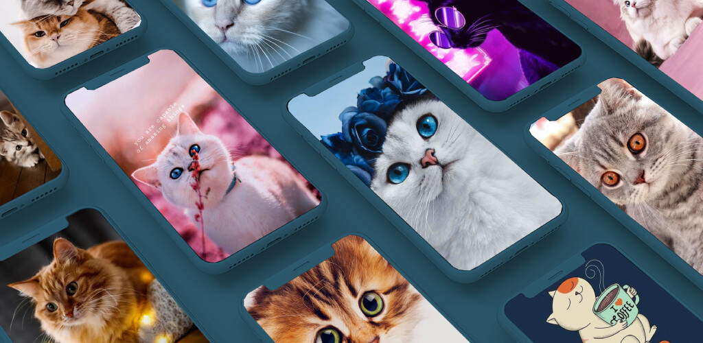 Run android online APK Cat Wallpaper Offline HD from MyAndroid or emulate Cat Wallpaper Offline HD using MyAndroid