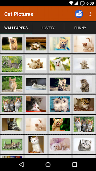 Emulate Android APK Cat wallpapers and funny pics Emulate Android APK Cat wallpapers and funny pics