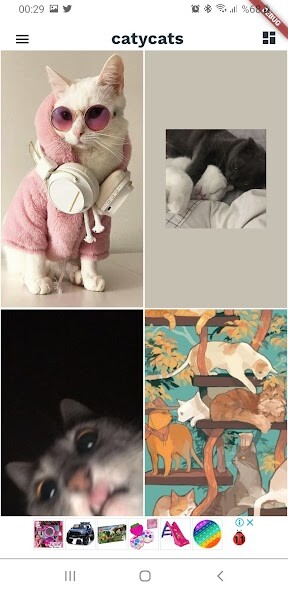 Run android online APK Caty Cats from MyAndroid or emulate Caty Cats using MyAndroid