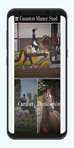Run android online APK Caunton Manor Stud from MyAndroid or emulate Caunton Manor Stud using MyAndroid Run android online APK Caunton Manor Stud from MyAndroid or emulate Caunton Manor Stud using MyAndroid