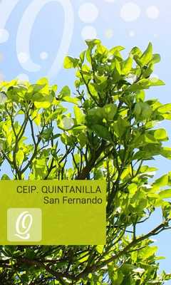 Emulate Android APK CEIP Colegio Quintanilla