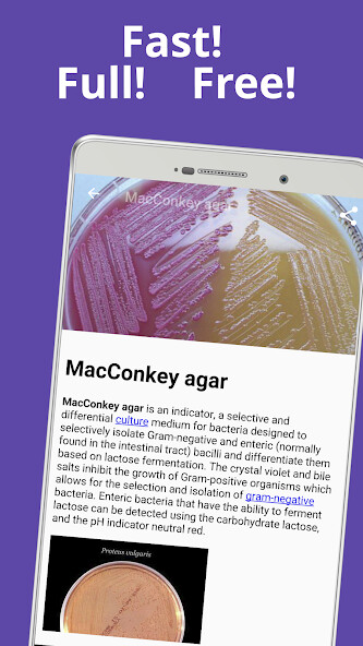 Run android online APK Cell biology from MyAndroid or emulate Cell biology using MyAndroid Run android online APK Cell biology from MyAndroid or emulate Cell biology using MyAndroid