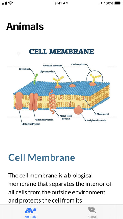 Emulate iPhone app Cell Structure using MyAndroid