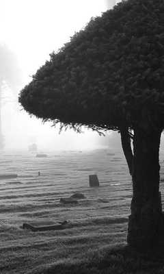 Emulate Android APK Cemetery Wallpapers Emulate Android APK Cemetery Wallpapers