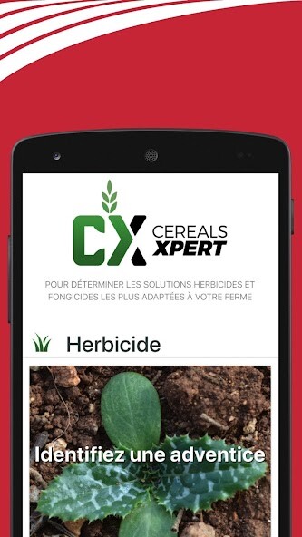 Run android online APK CerealsXpert from MyAndroid or emulate CerealsXpert using MyAndroid Run android online APK CerealsXpert from MyAndroid or emulate CerealsXpert using MyAndroid