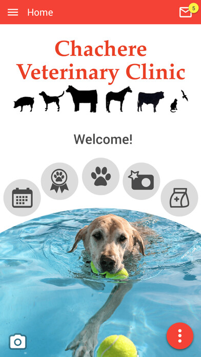 Emulate iPhone app Chachere Vet using MyAndroid