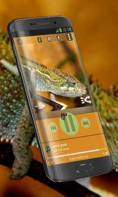 Emulate Android APK Chameleon PowerAmp Skin