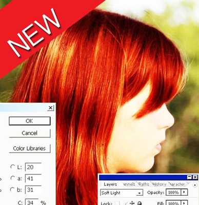 Emulate Android APK change hair color in photo Emulate Android APK change hair color in photo