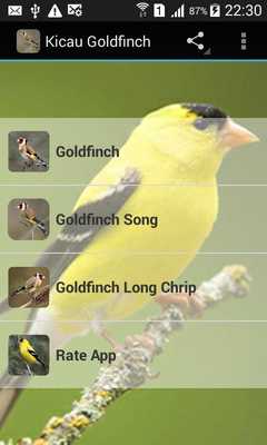 Emulate Android APK Chardonneret singing Emulate Android APK Chardonneret singing