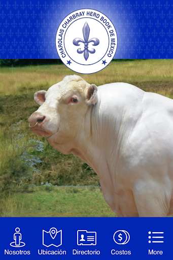 Run android online APK CHAROLAIS CHARBRAY HERD BOOK from MyAndroid or emulate CHAROLAIS CHARBRAY HERD BOOK using MyAndroid