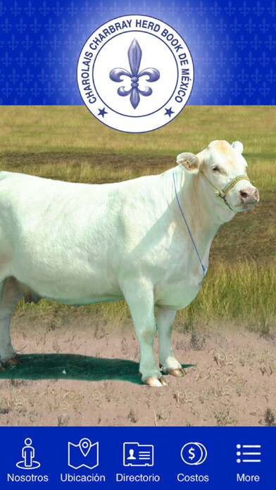 Emulate iPhone app CHAROLAIS using MyAndroid Emulate iPhone app CHAROLAIS using MyAndroid