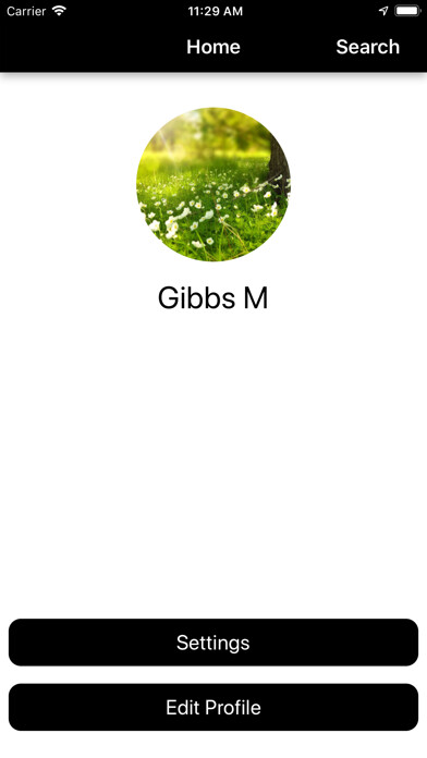 Emulate iPhone app Chat Rooms Messaging App using MyAndroid Emulate iPhone app Chat Rooms Messaging App using MyAndroid
