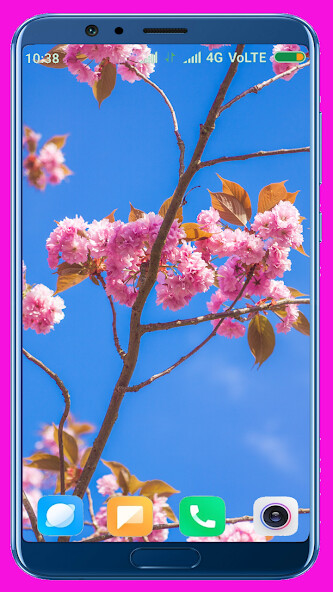 Run android online APK Cherry Blossom HD Wallpaper from MyAndroid or emulate Cherry Blossom HD Wallpaper using MyAndroid Run android online APK Cherry Blossom HD Wallpaper from MyAndroid or emulate Cherry Blossom HD Wallpaper using MyAndroid