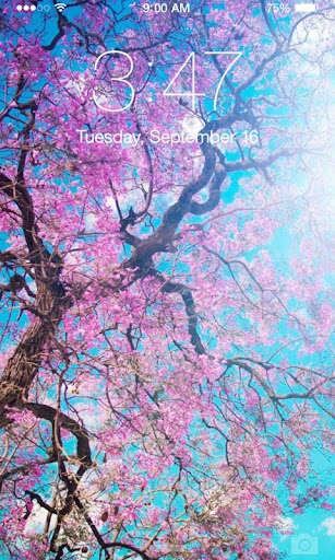 Emulate Android APK cherry blossoms wallpaper