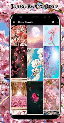 Run android online APK Cherry Blossom Wallpapers App from MyAndroid or emulate Cherry Blossom Wallpapers App using MyAndroid