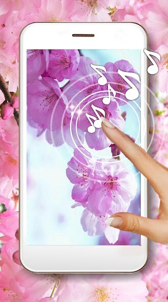 Run android online APK Cherry Spring Flowers from MyAndroid or emulate Cherry Spring Flowers using MyAndroid Run android online APK Cherry Spring Flowers from MyAndroid or emulate Cherry Spring Flowers using MyAndroid