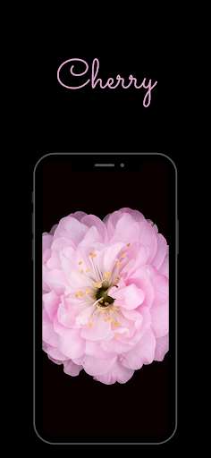 Run android online APK Cherry To Do from MyAndroid or emulate Cherry To Do using MyAndroid Run android online APK Cherry To Do from MyAndroid or emulate Cherry To Do using MyAndroid