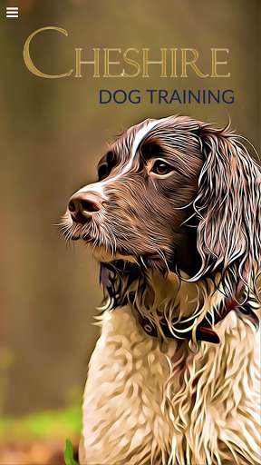 Run android online APK Cheshire Dog Training from MyAndroid or emulate Cheshire Dog Training using MyAndroid Run android online APK Cheshire Dog Training from MyAndroid or emulate Cheshire Dog Training using MyAndroid