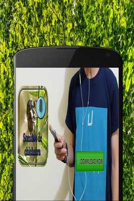 Emulate Android APK chicharra sounds Emulate Android APK chicharra sounds