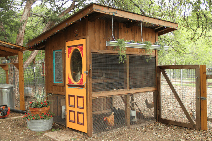 Run android online APK Chicken Coop from MyAndroid or emulate Chicken Coop using MyAndroid Run android online APK Chicken Coop from MyAndroid or emulate Chicken Coop using MyAndroid