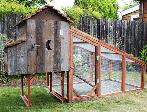 Run android online APK Chicken House Design from MyAndroid or emulate Chicken House Design using MyAndroid Run android online APK Chicken House Design from MyAndroid or emulate Chicken House Design using MyAndroid