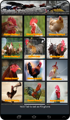 Emulate Android APK Chicken Soundboards Emulate Android APK Chicken Soundboards