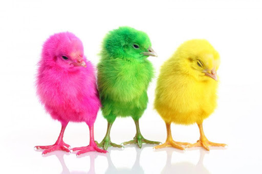 Emulate Android APK Chicks Wallpapers Emulate Android APK Chicks Wallpapers