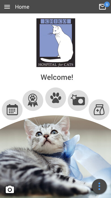 Run android online APK Chico Hospital for Cats from MyAndroid or emulate Chico Hospital for Cats using MyAndroid Run android online APK Chico Hospital for Cats from MyAndroid or emulate Chico Hospital for Cats using MyAndroid
