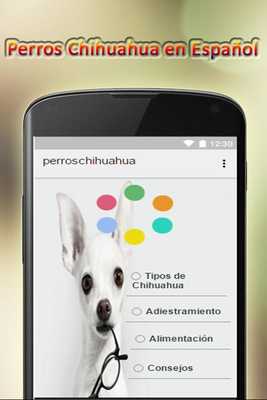 Emulate Android APK Chihuahua dogs in Spanish Emulate Android APK Chihuahua dogs in Spanish