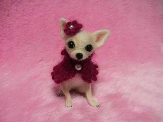 Emulate Android APK Chihuahuas HQ Pictures Emulate Android APK Chihuahuas HQ Pictures