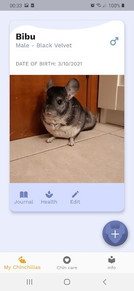 Run android online APK Chinchilla from MyAndroid or emulate Chinchilla using MyAndroid Run android online APK Chinchilla from MyAndroid or emulate Chinchilla using MyAndroid