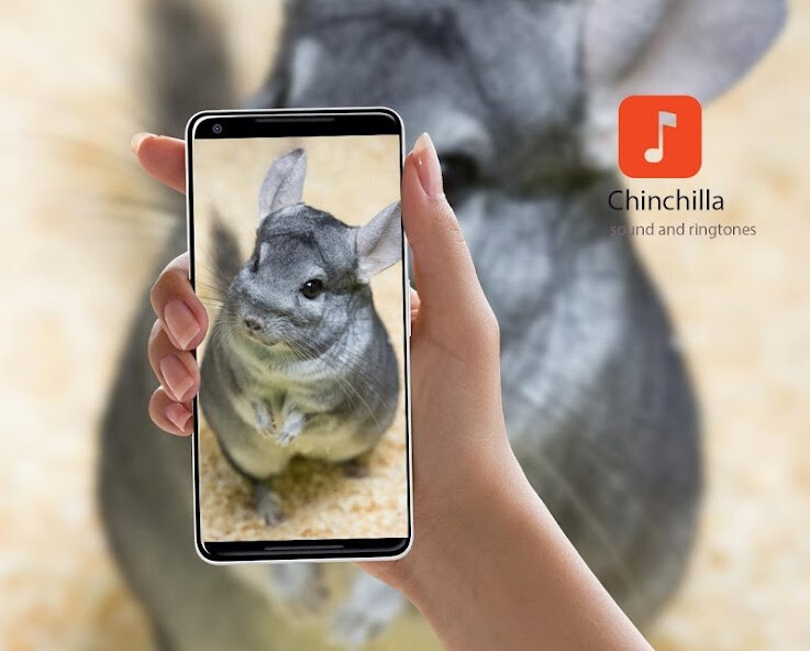 Run android online APK Chinchilla Sound Effects from MyAndroid or emulate Chinchilla Sound Effects using MyAndroid Run android online APK Chinchilla Sound Effects from MyAndroid or emulate Chinchilla Sound Effects using MyAndroid