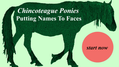 Emulate iPhone app Chincoteague Pony Names using MyAndroid