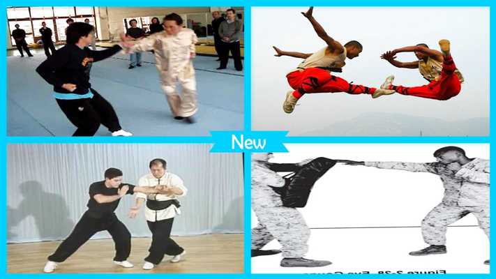 Emulate Android APK Chinese Martial Arts Techniques