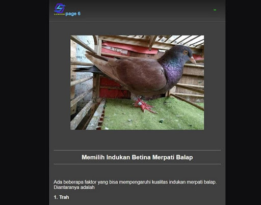 Run android online APK chose dove from MyAndroid or emulate chose dove using MyAndroid Run android online APK chose dove from MyAndroid or emulate chose dove using MyAndroid