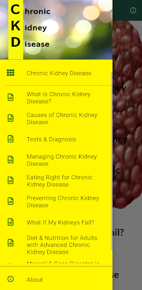 Run android online APK Chronic Kidney Disease from MyAndroid or emulate Chronic Kidney Disease using MyAndroid Run android online APK Chronic Kidney Disease from MyAndroid or emulate Chronic Kidney Disease using MyAndroid