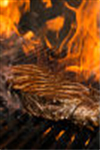 Run android online APK Chucks Steak House from MyAndroid or emulate Chucks Steak House using MyAndroid