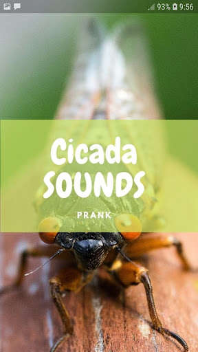 Run android online APK Cicada Sounds and Wallpapers from MyAndroid or emulate Cicada Sounds and Wallpapers using MyAndroid