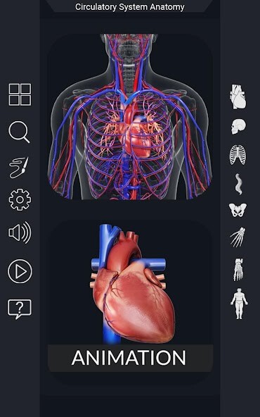 Emulate Android APK Circulatory System Anatomy