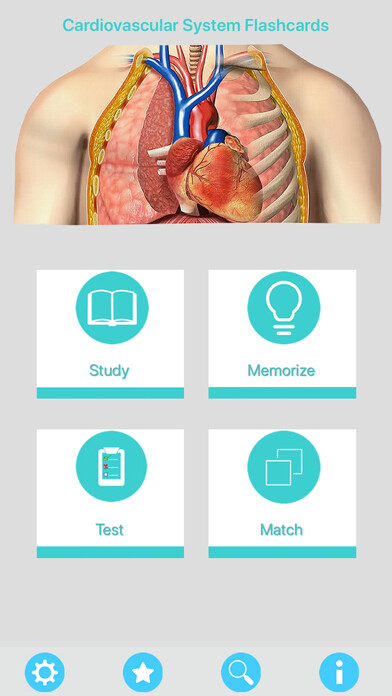 Emulate iPhone app Circulatory System Flashcards using MyAndroid Emulate iPhone app Circulatory System Flashcards using MyAndroid