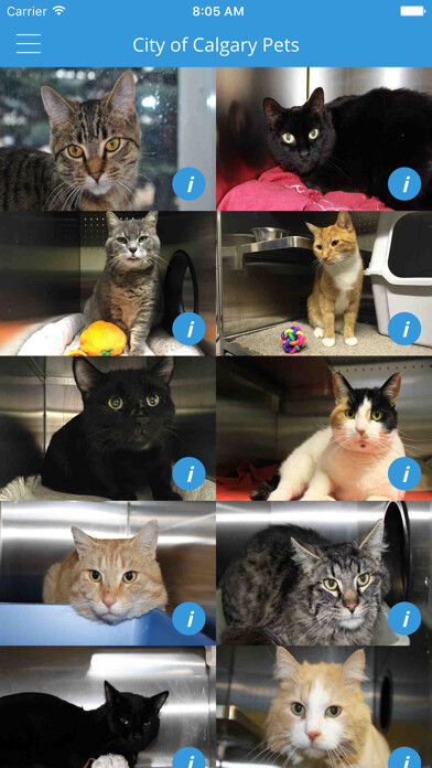 Emulate iPhone app City of Calgary Pets using MyAndroid