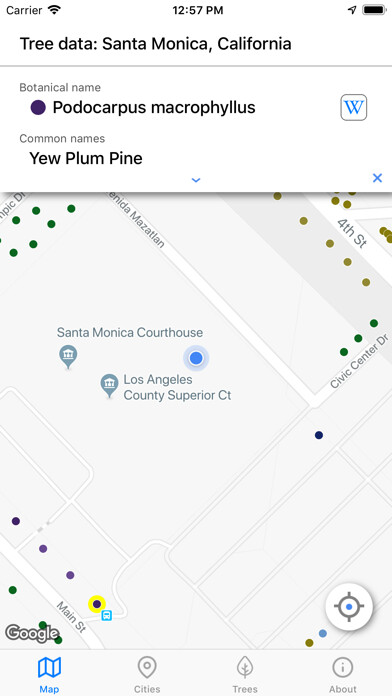 Emulate iPhone app City Trees using MyAndroid Emulate iPhone app City Trees using MyAndroid