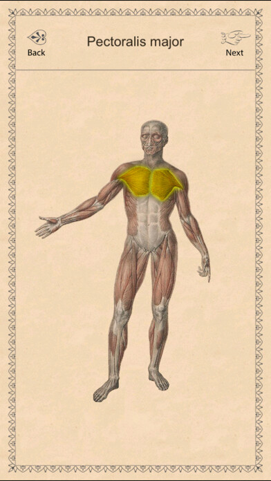 Emulate Android APK Classic Anatomy