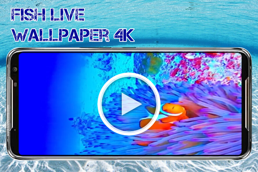 Run android online APK Clownfish Live Wallpaper 4K from MyAndroid or emulate Clownfish Live Wallpaper 4K using MyAndroid Run android online APK Clownfish Live Wallpaper 4K from MyAndroid or emulate Clownfish Live Wallpaper 4K using MyAndroid