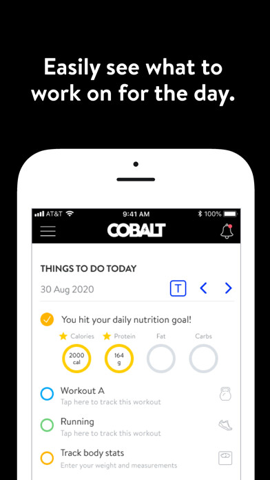 Emulate iPhone app Cobalt using MyAndroid