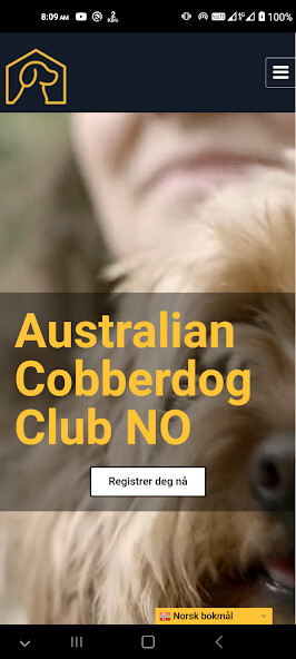 Run android online APK Cobberdog from MyAndroid or emulate Cobberdog using MyAndroid Run android online APK Cobberdog from MyAndroid or emulate Cobberdog using MyAndroid
