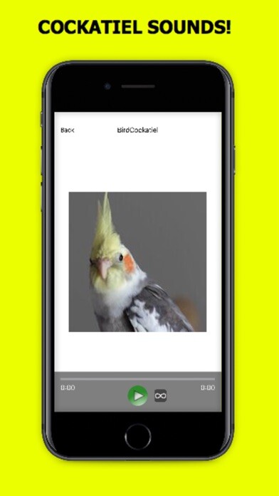 Emulate iPhone app Cockatiel Sounds+ Bird Sounds! using MyAndroid