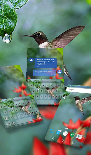 Run android online APK Colibri Animated Keyboard + Live Wallpaper from MyAndroid or emulate Colibri Animated Keyboard + Live Wallpaper using MyAndroid